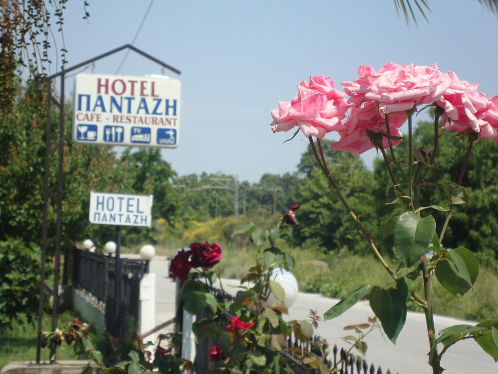 Hotel Pantazis Паралия Пантелеймона Экстерьер фото
